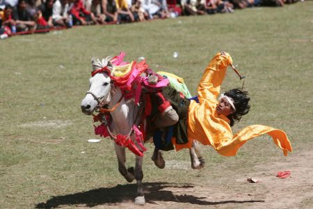 Equine Euphoria Ride