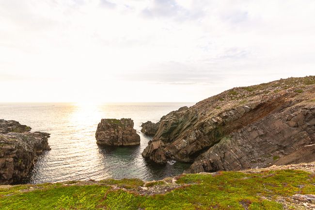 Bonavista Cliffs Full Blown