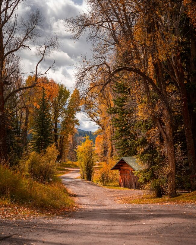 Fall Road