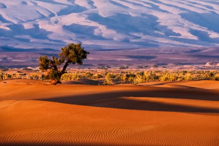 Morocco, Sahara