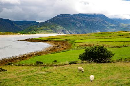 Majestic Irish Coast