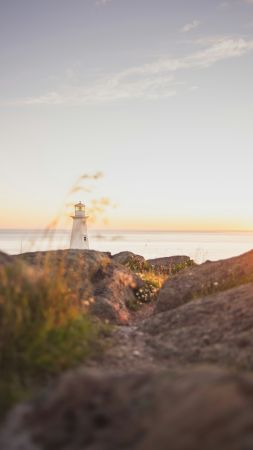 Coastal Beacon Beauty