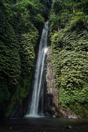 Cascading Ivy Falls