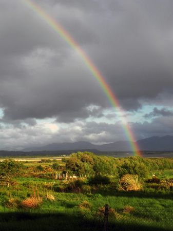 Chromatic Pastoral Bliss