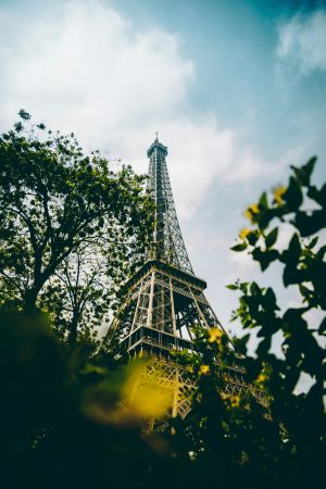 Golden Parisian Beauty