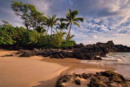 Majestic Maui Shore