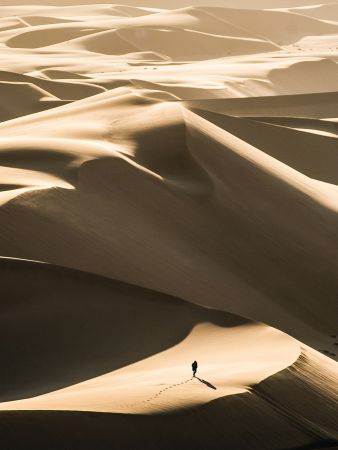 Desert Footprints Fading