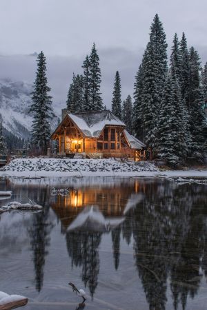 Serenity in Snow