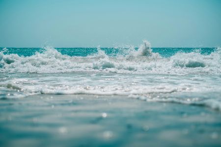 Surfing Splendor Shoreline