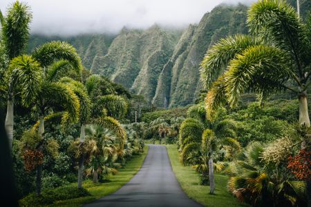 Paradise Pathway Peaks