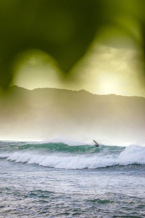 Surfers Paradise Plunge