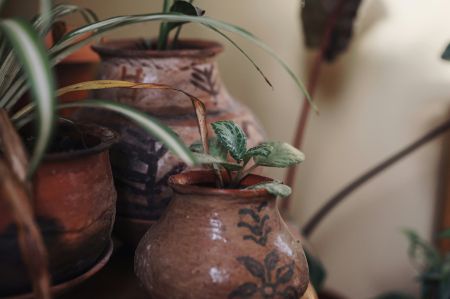 Earthen Verdant Blooms