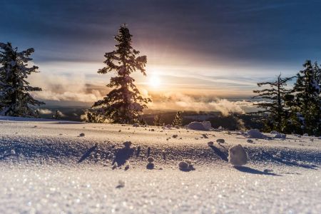 Roadside Winter Wonderland