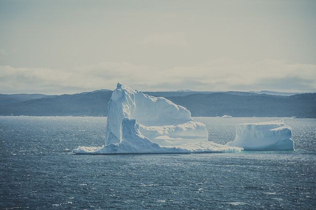 Ferryland Iceber II