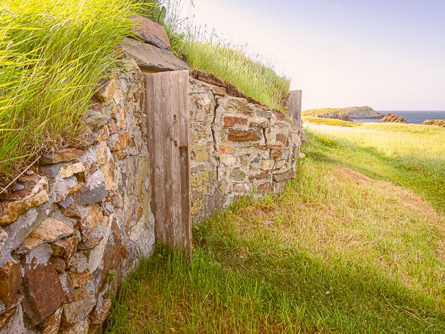 Root Cellar