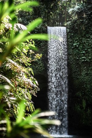 Serene Cascading Oasis