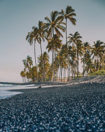 black sand beach