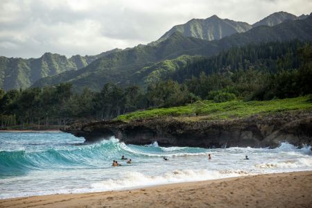 Island Surfer Views