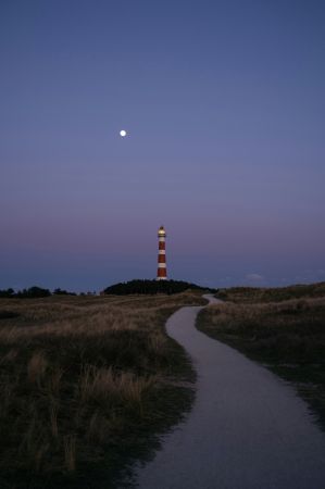 Calm Coastal Serenity