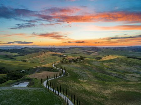 Golden Tuscan Glow