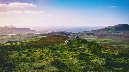 Verdant Vistas Viewed