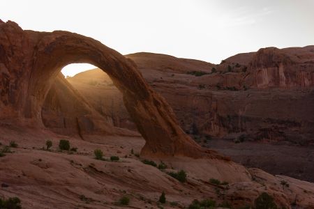 Desert Rock Formations