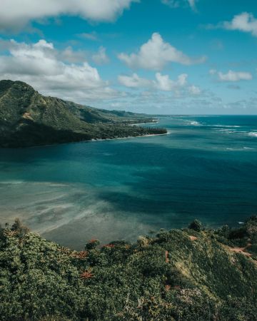 Roaring Island View